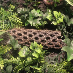 NomoyPet Resin Hide and Climbing Platform Decor NS-109/14 x 5cm