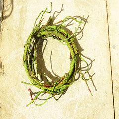 Jungle Vines Flexible Pet Habitat Decor, Perfect for Chameleons Snakes Lizards ST-01/ST-03/ ST-04