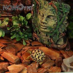 Organic Bark Chips Expandable Substrate Block 650g