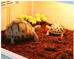 Pet Tortoise Snake Frog Bedding and Reptile Substrate Coconut Reptile Turtle Hibernate Supplies Moss Climbing Mat
