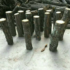 Aquarium Decoration Betta Log Champagne Tree Trunk Decor Stone Base Straight Trunk Hideout Fish Tank Ornament for Cichlid Shrimp Reptile Turtle