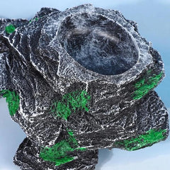 Resin Double Feeding Basin Convenient Turtle Terrace Indoor