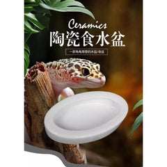 NOMOY PET White Ceramic Anti-escape Reptile Food Bowl NFF-49