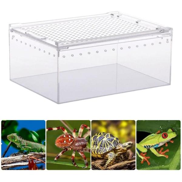 Acrylic Breeding Box for Reptiles 30x20x15cm