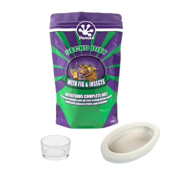 Pangea Fig & Insects Complete Gecko Diet - 56g, Small Reptile Feeding Dish Bowl, White Ceramic Reptile Food Bowl NFF-49 - COMBO