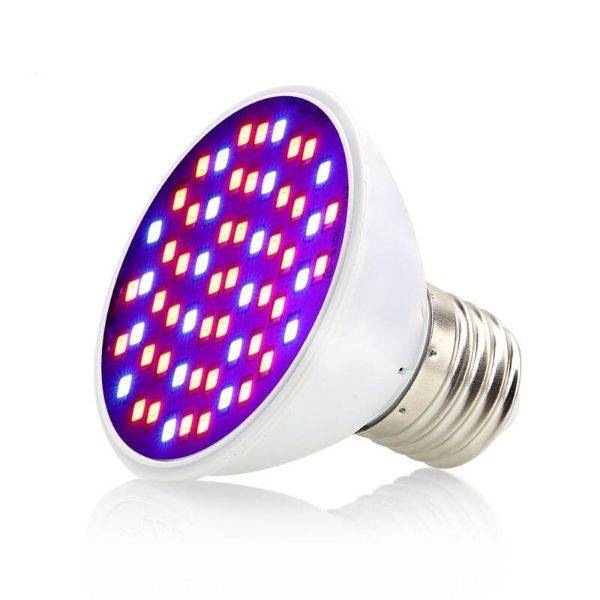 Double Heads Clip with Switch Extension Bulb Holder Socket for Plants Grow Reptiles Aquarium