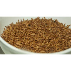B&K Mealworm