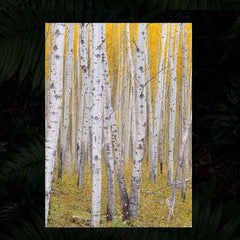 Nomo Wood Chips Bedding - NC-21 500G