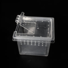 Small Square Reptile Breeding Box 6.8x6.8x4.5cm