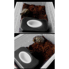 NOMOY Reptile Plastic Cave with Ceramic Bowl- 2 Colors