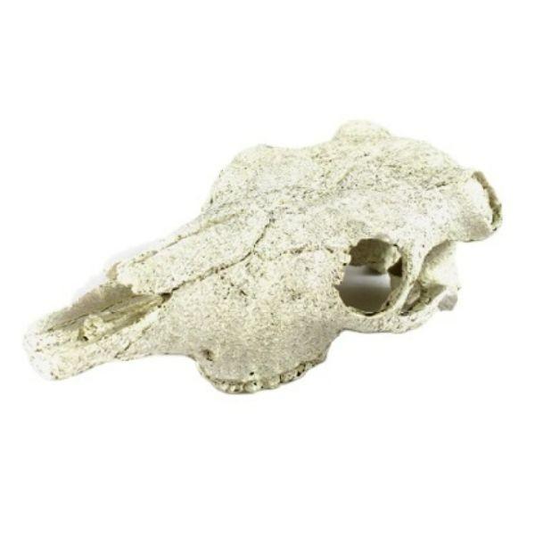 NOMOYPET Exotic Reptile Hide Landscape Skull Bone NS-74