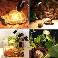 Turtle Warming Basking Lamp 25W, 50W and 75W  UVA + UVB Full Spectrum Sun Lamp