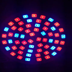 Double Heads Clip with Switch Extension Bulb Holder Socket for Plants Grow Reptiles Aquarium