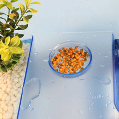 Nomoy Turtle Tank, Blue Big Tank Aquarium