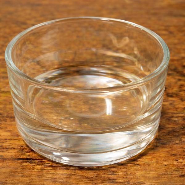 Reptile Glass Feeding Bowl – Small / Medium Sizes