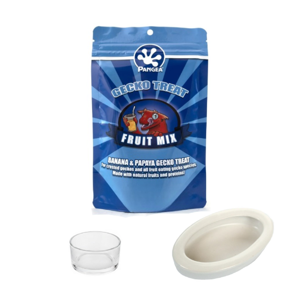 Pangea Banana & Papaya Gecko Treat - 56g, Small Reptile Feeding Dish Food Water Bowl, White Ceramic Anti-Escape Reptile Food Bowl NFF-49 - COMBO