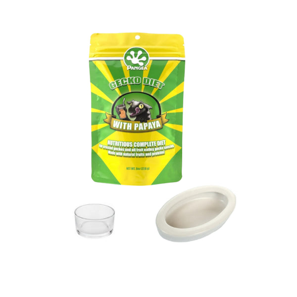 Pangea Papaya Complete Gecko Diet 228g – FREE Small Reptile Feeding Dish Bowl – FREE White Ceramic Reptile Food Bowl - COMBO