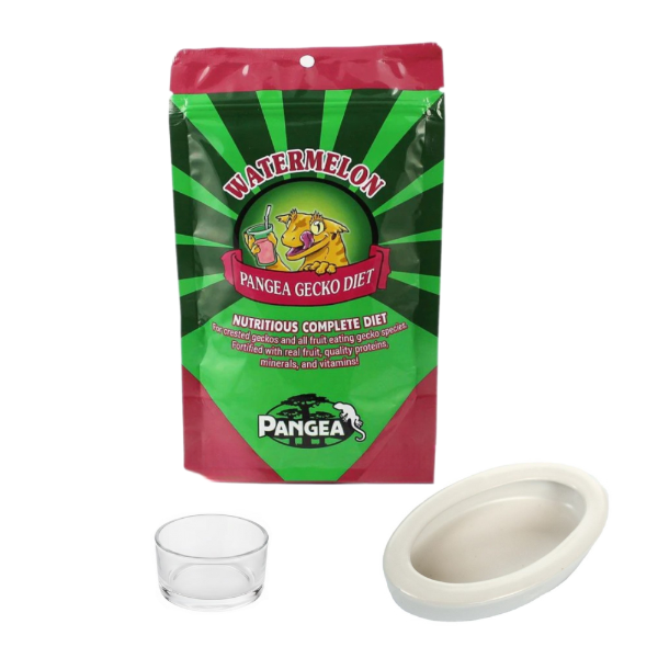 Pangea Watermelon Complete Gecko Diet - 56g, Small Reptile Feeding Dish Bowl, White Ceramic Reptile Food Bowl NFF-49 - COMBO