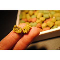 Knowing Tortoise Food Herbaceous and Fruits with Vegetables