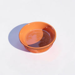 Reptile Feeding Dish Bowl – 9.5 × 2.6 cm Durable Food & Water Bowl for Reptiles, Amphibians & Small Pets