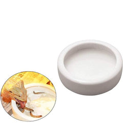 Smooth Ceramic Anti-Escape Worm Dish for Reptile Lizard Feeding Food Water Bowl