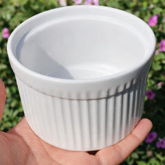 Ceramic Reptile Feeding Dish Bowl – White