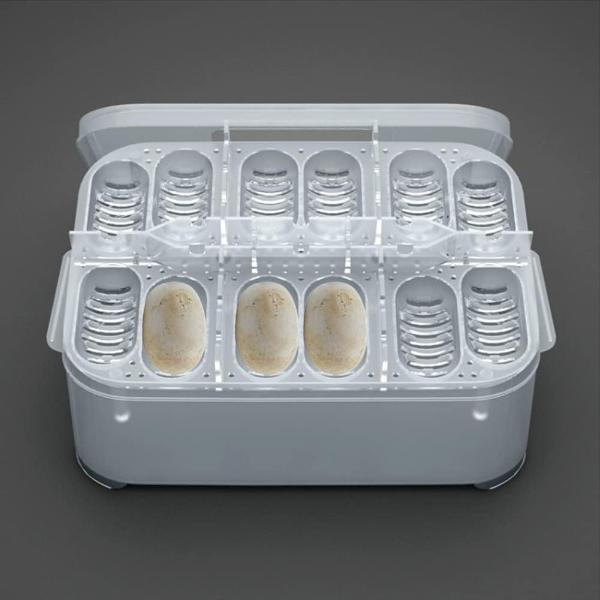 Reptile Egg Incubator Hatching Box  (12 and 20 Slots)