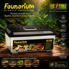 Exo Terra Faunarium Flat Medium
