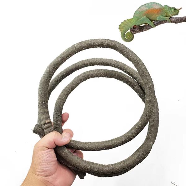 Tree Vine for Lizard Tree Frog Gecko Climbing and Perching Landscaping Decoration