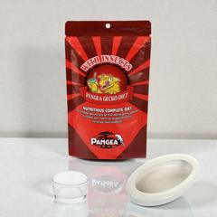 Pangea with Insects Complete Gecko Diet 56g, Small Reptile Feeding Dish Bowl, White Ceramic Reptile Food Bowl NFF-49 - COMBO