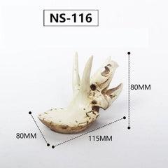 Nomoypet Resin Hide Decoration for Aquarium and Terrarium Landscape NS-116