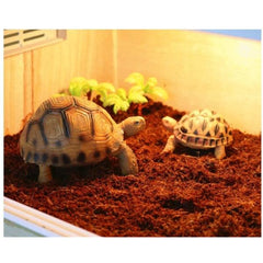 Reptile Soil Coconut Block