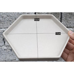 Reptile Feeding Dish Non-Slip Food & Water Bowl for Geckos, Lizards & Small Pets