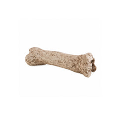 Exo Terra Dinosaur Bone Realistic Fossil Terrarium Decoration & Reptile Hide