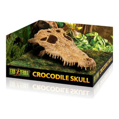 Exo Terra Crocodile Skull – Realistic Reptile Terrarium Hide & Decoration