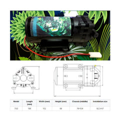 Rainforest Misting Spray System for Terrarium