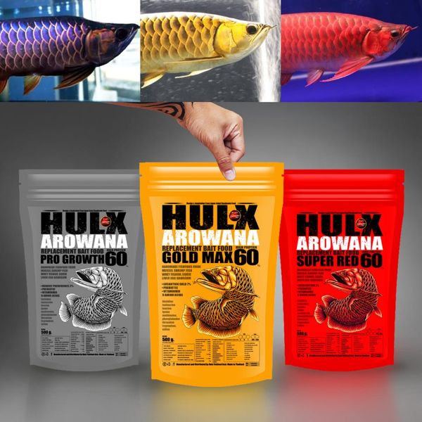 HULX Arowana Gold Max 60 Replacement Bait Food and High Protein Floating 100gm and 500gm