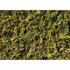 Exo Terra Forest Moss 2x7 qt (2 x 7 L)