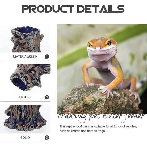 Reptile Food Water Bowl Imitating Natural Rock