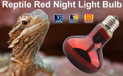 Nomoy Bearded Dragon Lizard Turtle Hermit Red Night Light Bulb 100W