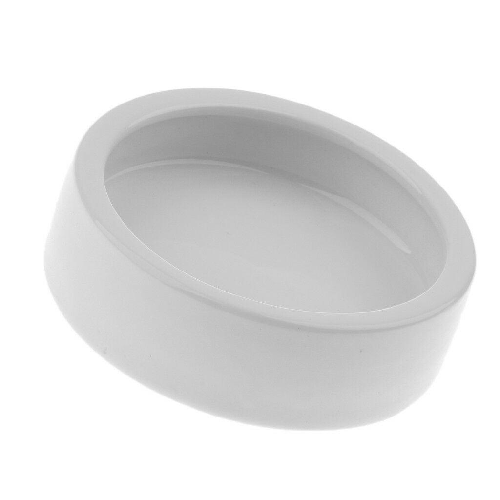 Smooth Ceramic Anti-Escape Worm Dish for Reptile Lizard Feeding Food Water Bowl