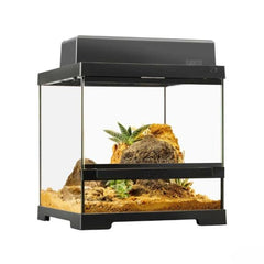 Exo Terra Pro Terrarium X-Small Wide 30 x 30 x 30 cm