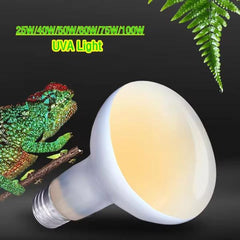 Frosted UVA Lamp For Reptiles Tortoises Chameleons 25w/50w/60w/75w/100w