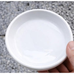 Reptile Feeding Dish 22 – 13 x 2.8 cm