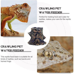 Reptile Food Water Bowl Imitating Natural Rock