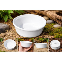 Reptile Feeding Bowl - 11.5 X 4.3 CM