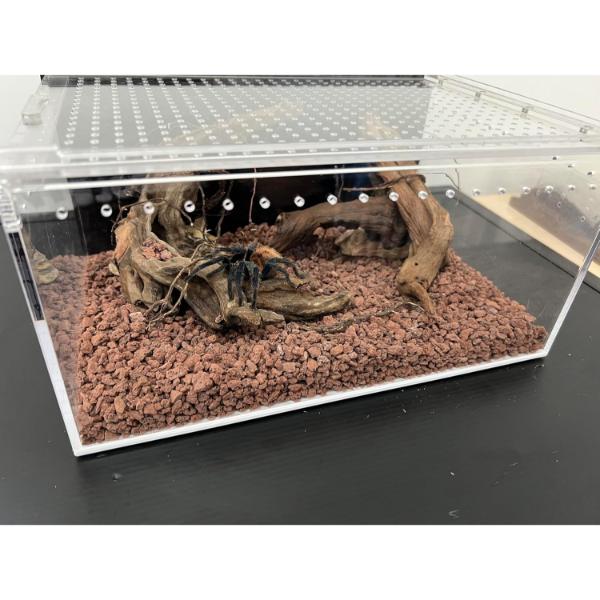 Acrylic Breeding Box for Reptiles 30x20x15cm