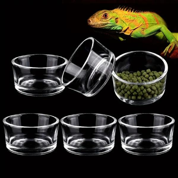 Small Reptile Feeding Dish Food Water Bowl Feeder Cup Basin