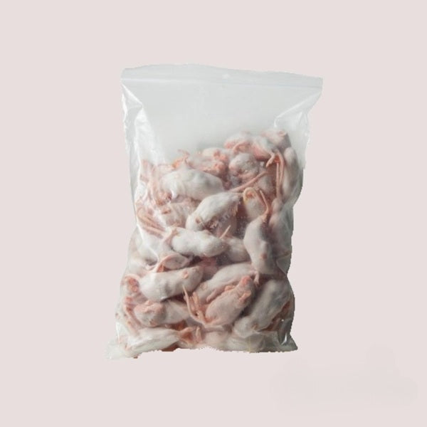 Small Frozen Mice 10-15g/15-20g
