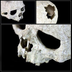 NOMOY PET Skull Ornament NS-73 – Resin Aquarium & Terrarium Decor